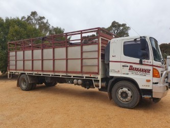 Hino GH 2015 Livestock Truck