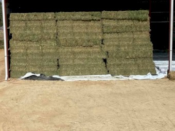 High-quality dry hay
