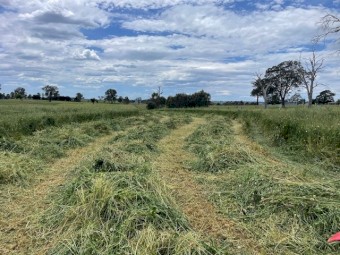 Haylage/Silage for sale