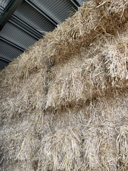 Oaten Hay Horse Quality