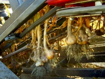 JJ Broch Harvester/Cutter ARCO-S