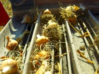 JJ Broch Harvester/Cutter ARCO-S