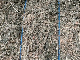 Lucerne Hay 8x4x3 Bales