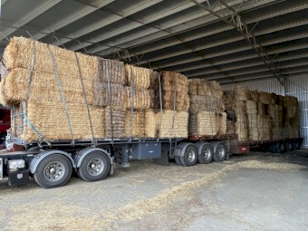 Header trail barley straw 2nd grade