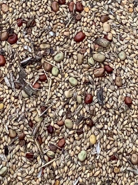 WANTED Mixed Grain and Seconds Grain - Semi Load