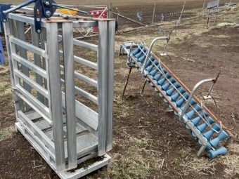 Sheep Meat Handler & Lamb Chute 