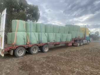 Lucerne Silage May 25