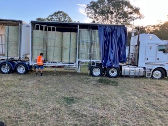 40  bale load Prime Beardless Barley 4^4