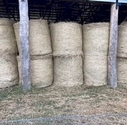68 bales of  Quality 4^4 Hay