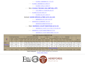 Haven Grove Ultimo U019