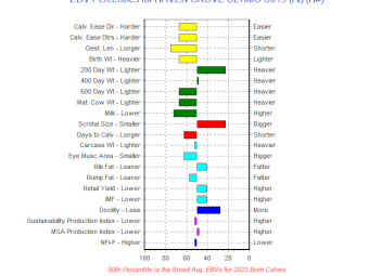 Haven Grove Ultimo U019