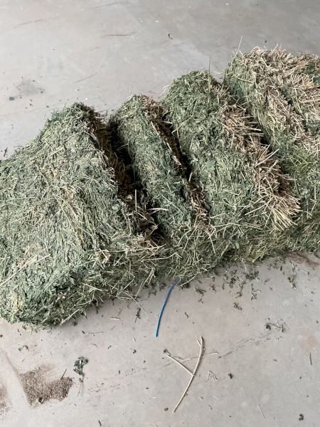 Small lucerne bales