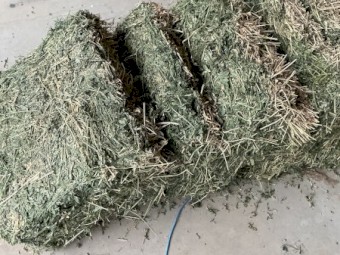 Small lucerne bales