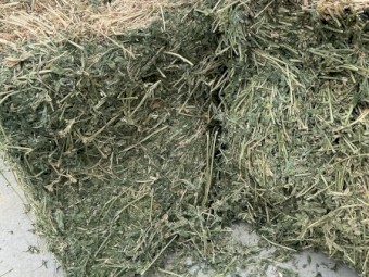 Small lucerne bales