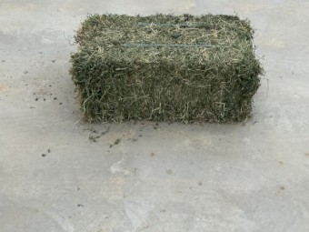 Small lucerne bales