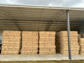Small lucerne bales