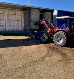 Seasoned premium Lucerne hay 4^4  shedded