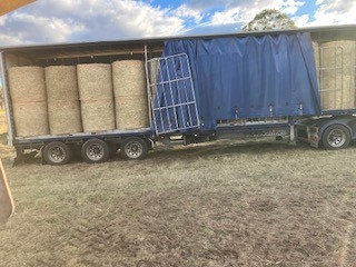 Seasoned premium Lucerne hay 4^4  shedded