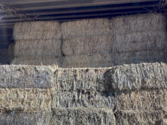 55mt Oaten Hay 620-650kg 8x3x4 Bales