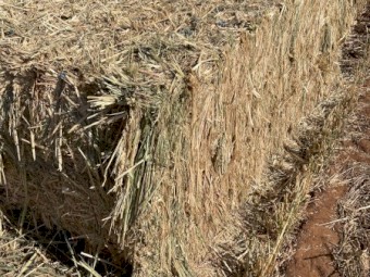 55mt Oaten Hay 620-650kg 8x3x4 Bales