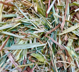 Top Quality Oaten Hay