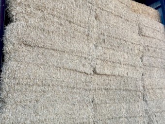 Top Quality Barley Straw 