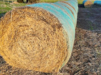 50 x Oaten Hay 5x4 Bales