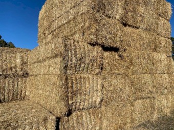 Oaten Hay 8X4X3 
