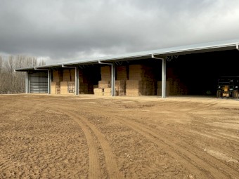 Large square lucerne bales