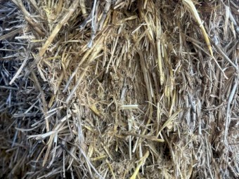 BARLEY STRAW (HEADER TAILINGS)