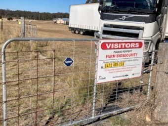  Premium 4^4 Rhodes Grass Hay Shedded