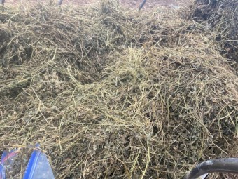 Lucerne Haylage April 2025