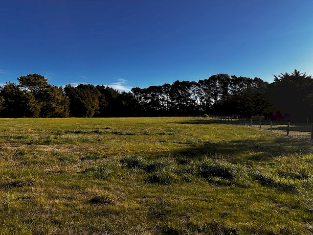 Acreage for agistment of sheep  