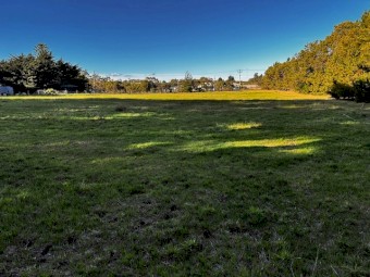 Acreage for agistment of sheep  