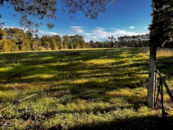 Acreage for agistment of sheep  