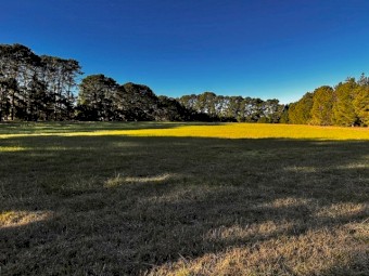 Acreage for agistment of sheep  