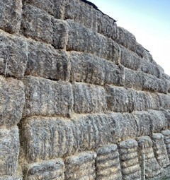 Barley straw - header tailings