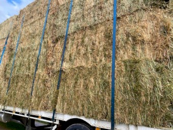 Oaten Hay 8X4X3 