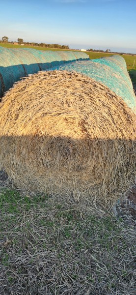 Wheaten hay 5x4 only 20 left