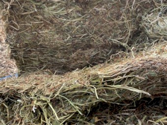 Balansa Clover Hay 8x4x3 bales