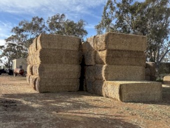 800 x Wheaten Straw Tailings 540kg 8x4x3 Bales