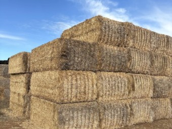 800 x Wheaten Straw Tailings 540kg 8x4x3 Bales