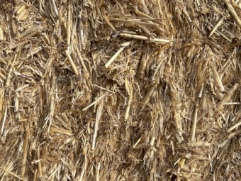 800 x Wheaten Straw Tailings 540kg 8x4x3 Bales