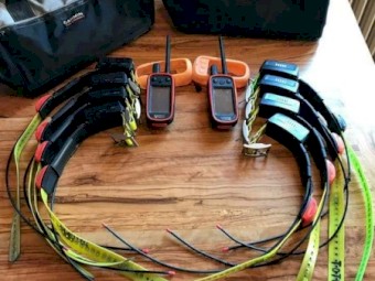 Garmin Alpha 100 with tt15 collars and chargers.