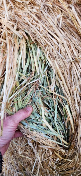 Oaten 5x4 (x12) wheaten 5x4 (x20)