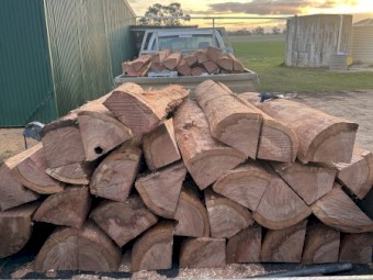 60 red iron bark fence post