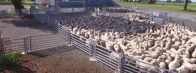 Very Cheap farm Labour 