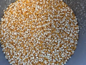 *Price reduction* Popcorn - Approx. 15-20t