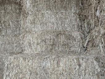 Oaten Hay 550kg 8x4x3 Bales