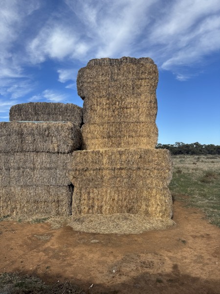 120 x Wheaten Straw 500kg 8x4x3 Bales
